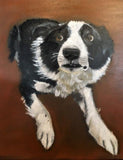 F&S Gift Store Custom Pet Portraits (Oil on Canvas)