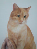 F&S Gift Store Portrait of a pet from a photo Cat Custom Portrait Oil Painting, Cat custom painting. Pet custom portrait, Commission Cat portrait.