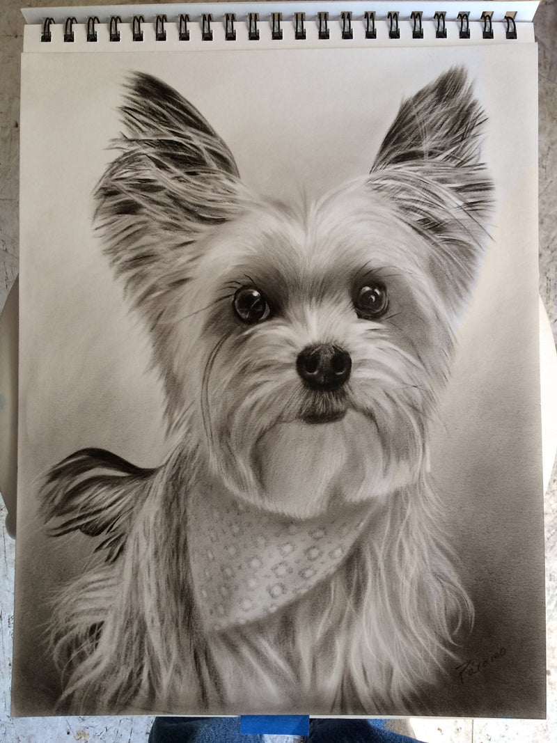 F&S Gift Store Pet Portraits From Photos in Dry Brush Oil on Paper