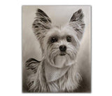 Personalized Oil Painting From Photos, handcraft art on Canvas-Show Case TCH102319-20