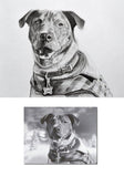 Personalized Oil Painting From Photos, handcraft art on Canvas-Show Case TCH102319-20