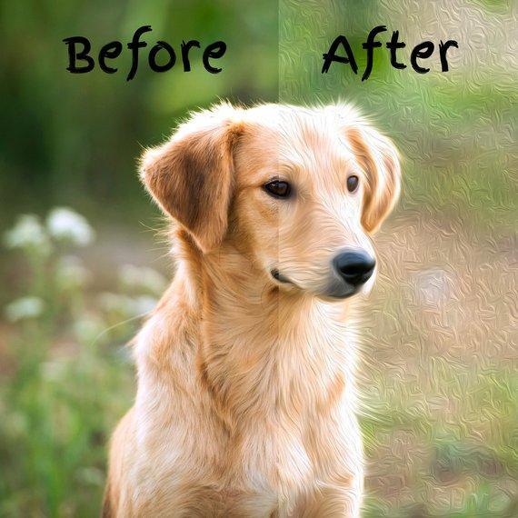 Personalized Oil Painting From Photos, handcraft art on Canvas-Show Case OPE101107-48