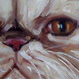 F&S Gift Store Persian Cat, custom Pet Portrait Oil Paintings, 10x10"