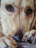F&S Gift Store AngelicAgitator AUGIE, custom Pet Portraits in Oils by puci, 8x8 inches