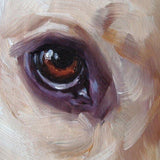 F&S Gift Store AngelicAgitator AUGIE, custom Pet Portraits in Oils by puci, 8x8 inches