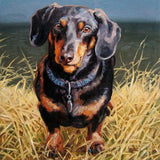 F&S Gift Store Studly Dudley, custom Pet Portrait Oil Painting by puci, 12x12"