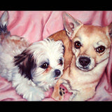 Personalized Oil Painting From Photos, handcraft art on Canvas-Show Case KCD102445-30