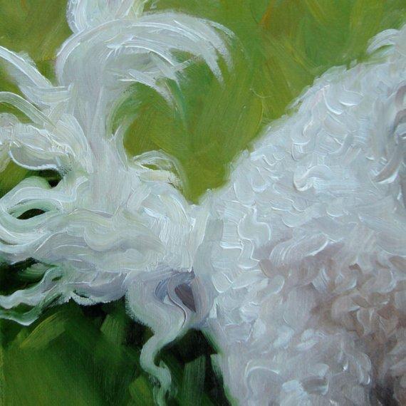 F&S Gift Store Pet Lovers, custom Pet Portrait Oil Painting by puci, 8x8"