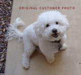 F&S Gift Store Pet Lovers, custom Pet Portrait Oil Painting by puci, 8x8"