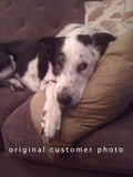 Personalized Oil Painting From Photos, handcraft art on Canvas-Show Case ASO102133-24