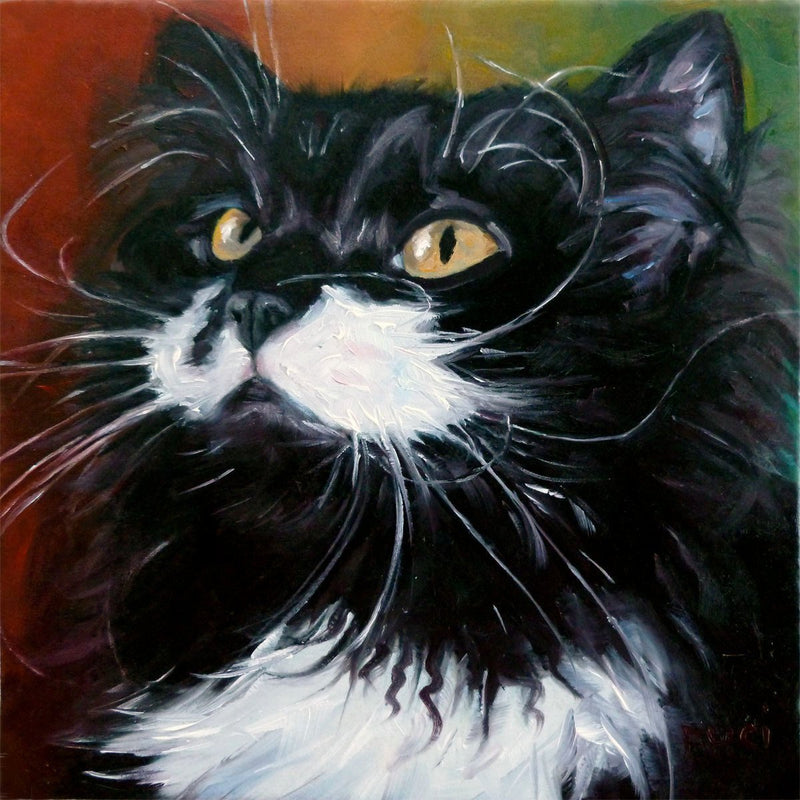F&S Gift Store Rasta Kitty, CUSTOM Pet Portrait Oil Painting by puci, 8x8"