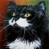 F&S Gift Store Rasta Kitty, CUSTOM Pet Portrait Oil Painting by puci, 8x8"