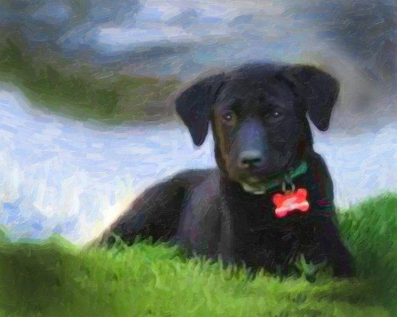 F&S Gift Store Puppy Portrait Gift Custom Oil Style Pet Painting on Canvas 16x20