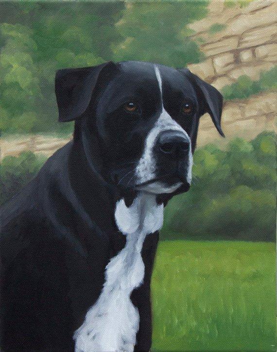 F&S Gift Store Custom Pet Portrait Oil Painting 11x14 10% donated to rescue