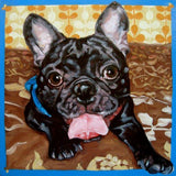F&S Gift Store BOXERS & BULLDOGS, custom Pet Portrait Oil Paintings by puci, 10x10"