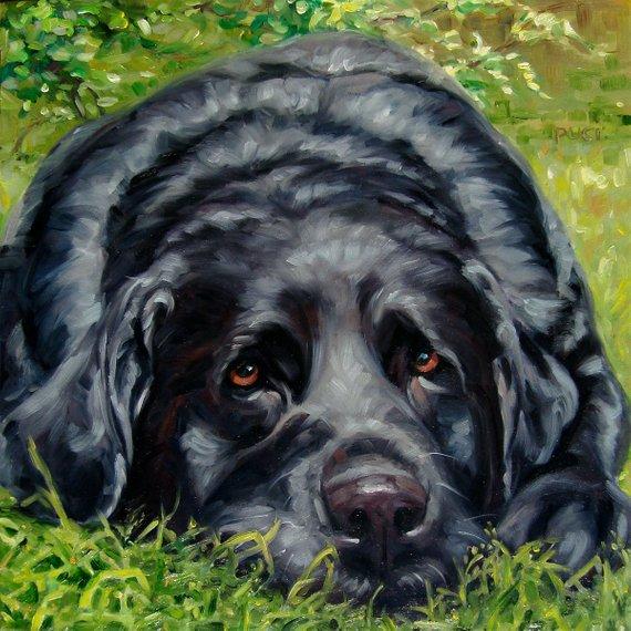 F&S Gift Store LovelyLucy, custom Pet Portrait Oil Painting by puci, 12x12"