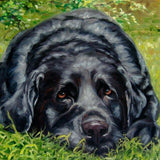 F&S Gift Store LovelyLucy, custom Pet Portrait Oil Painting by puci, 12x12"