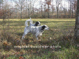 Personalized Oil Painting From Photos, handcraft art on Canvas-Show Case ICB102100-48
