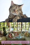 F&S Gift Store SunRoom Kitty, custom Pet Portrait Oil Painting by puci, 10x12"