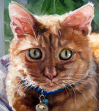 F&S Gift Store SunKissed Kitty, CUSTOM Cat Portrait Oil Painting by puci, 10x12"