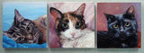 F&S Gift Store Mystical Black Cat, custom cat painting, Pet Portrait Oil Painting by puci, 8x8"
