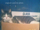 Personalized Oil Painting From Photos, handcraft art on Canvas-Show Case JPC100398-24