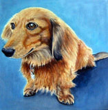 F&S Gift Store Custom Pet Portrait painting from photos, oil painting on canvas, dog portrait, all animal paintings, cat art, bird art, furry kids wall art