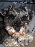 F&S Gift Store Big Mini Schnauzer, custom Pet Portrait Oil Painting, 10x10"