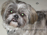 Personalized Oil Painting From Photos, handcraft art on Canvas-Show Case IDK102500-12