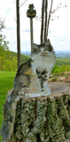 F&S Gift Store Custom Pet Portrait examples: Simon oil paintings 6"X12" includes easel