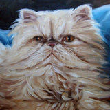 F&S Gift Store Persian Cat, custom Pet Portrait Oil Paintings, 10x10"