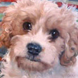 F&S Gift Store Canine Cuties, custom Pet Portrait paintings in Oils by puci, 8x8 inches