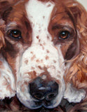 F&S Gift Store Spotted Spaniel, CUSTOM Pet Portrait Oil Painting by puci, 10x12"