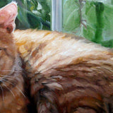 F&S Gift Store SunKissed Kitty, CUSTOM Cat Portrait Oil Painting by puci, 10x12"