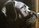 Personalized Oil Painting From Photos, handcraft art on Canvas-Show Case DSO101249-30
