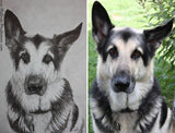 Personalized Oil Painting From Photos, handcraft art on Canvas-Show Case TPS101053-48