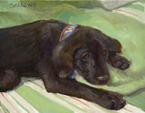 F&S Gift Store Custom Pet Portrait Oil Painting Dog Painting Cat Painting on canvas 12x16 Wildlife Artist DFAT