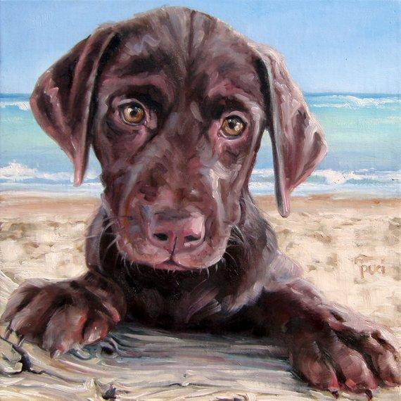 F&S Gift Store Puppy Portraits, custom Pet Portrait Oil Painting by puci, 10x10"