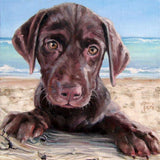 Personalized Oil Painting From Photos, handcraft art on Canvas-Show Case NFG102448-48
