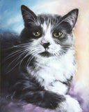 Personalized Oil Painting From Photos, handcraft art on Canvas-Show Case IAB101234-36