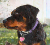 Personalized Oil Painting From Photos, handcraft art on Canvas-Show Case KTG101142-12