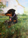 F&S Gift Store Custom Pet Portrait Oil Painting, Cat, Dog, Realistic, Large, one pet, background, 18 x 24 inches, Rottweiler Retriever Airedale Terrier