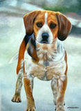 Personalized Oil Painting From Photos, handcraft art on Canvas-Show Case TMH101720-24