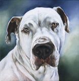 Personalized Oil Painting From Photos, handcraft art on Canvas-Show Case FTS101232-20