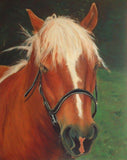 Personalized Oil Painting From Photos, handcraft art on Canvas-Show Case ALC100824-48
