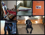 Personalized Oil Painting From Photos, handcraft art on Canvas-Show Case IGB102557-24