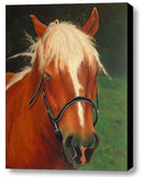 F&S Gift Store Custom Made Horse Portrait - Equine Portrait - Horse Painting from Your Photo - Portraits by NC