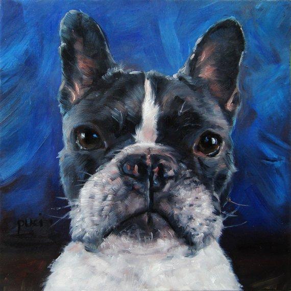 F&S Gift Store FrenchieFrench Bulldog, Boston Terrier, custom Pet Portrait Painting in Oils by puci, 8x8"