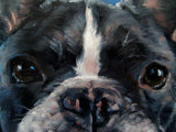 F&S Gift Store FrenchieFrench Bulldog, Boston Terrier, custom Pet Portrait Painting in Oils by puci, 8x8"
