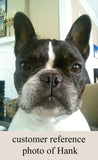 F&S Gift Store FrenchieFrench Bulldog, Boston Terrier, custom Pet Portrait Painting in Oils by puci, 8x8"
